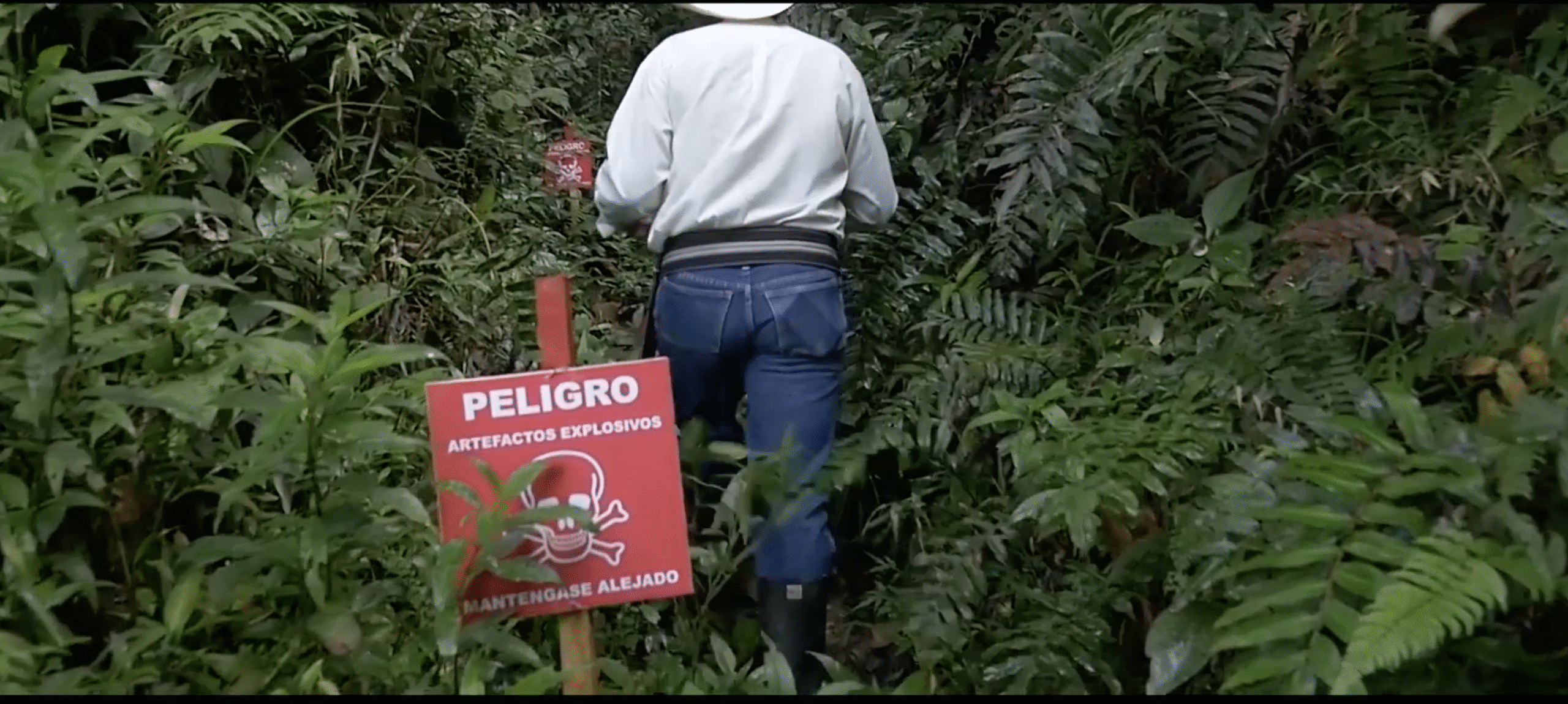 Talleres y comunidades